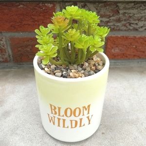 BLOOM WILDLY Inspirational Faux Potted Succulent Plant